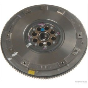 Zweimassenschwungrad J2117000