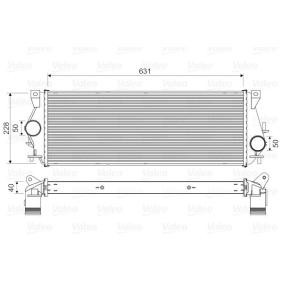 Acquista Intercooler da VALEO online per Discovery II (L318) a prezzi moderati