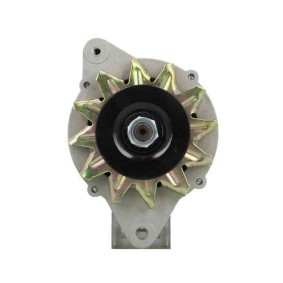 Lichtmaschine von BV PSH