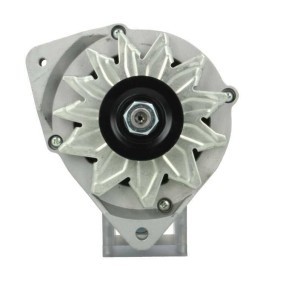 Lichtmaschine von BV PSH
