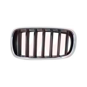 Kühlergrill 0690511