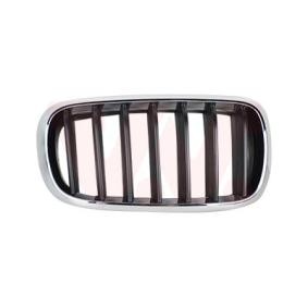 Kühlergrill 0690512