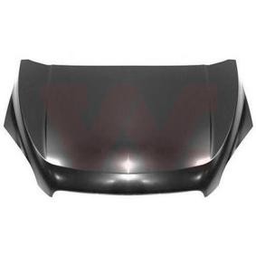 Motorhaube 0845660