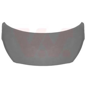 Motorhaube 8249660