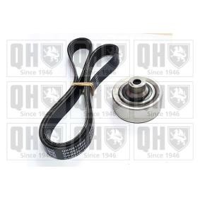 Acquista Kit Cinghie Poly-V da QUINTON HAZELL QDK108 a buon mercato per soli 68,87 €