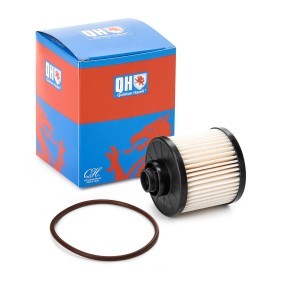Kraftstofffilter QFF0438 für FORD USA