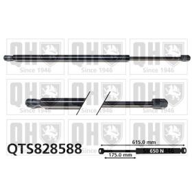 Heckklappendämpfer QTS828588