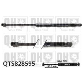 Heckklappendämpfer QTS828595