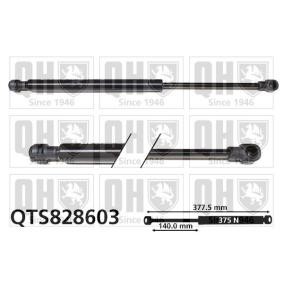 Heckklappendämpfer QTS828603