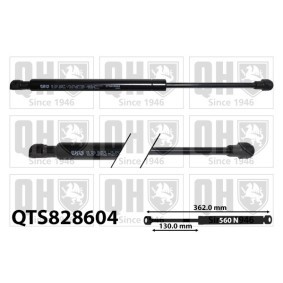 Motorhaubendämpfer QTS828604