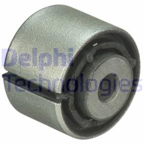 Lagerung, Lenker von DELPHI