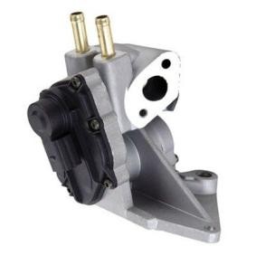 AGR-Ventil 571822112078 von MAGNETI MARELLI günstig für 109,30 € online kaufen