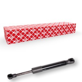 Heckklappendämpfer von FEBI BILSTEIN