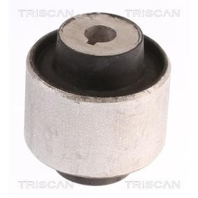 Lagerung, Lenker von TRISCAN