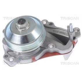 Achetez des Pompe à eau TRISCAN 8600 28026 à prix pour 54,85 €