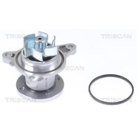 Wasserpumpe von TRISCAN