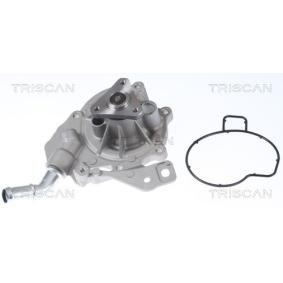 Achetez des Pompe à eau TRISCAN 8600 50012 à prix pour 89,30 €