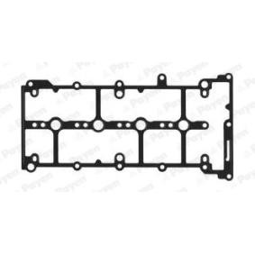 Comprar Junta, tapa de culata de cilindro de PAYEN JM7170 a bajo precio de 12,82 €