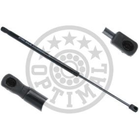 Heckklappendämpfer AG-40369