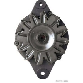 Lichtmaschine J5113005