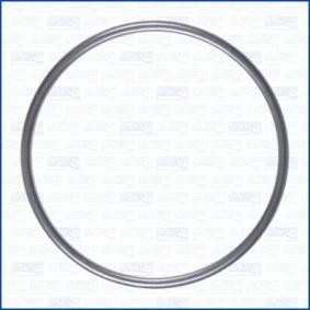 Dichtung, Abgasrohr 18009200