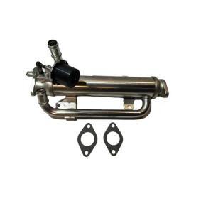 Comprar Válvula EGR de BUGIAD BSP25206 a bajo precio de 265,95 €