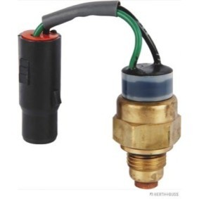 Temperaturschalter, Kühlerlüfter J5650504