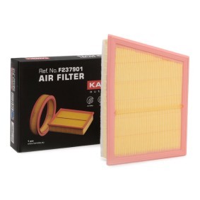 Luftfilter F237901