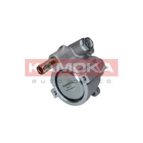 Servopumpe PP171