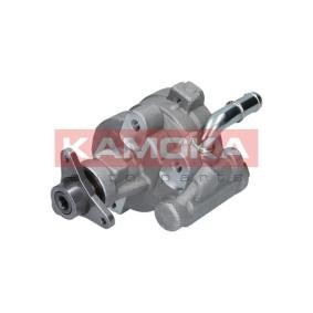 Servopumpe PP173