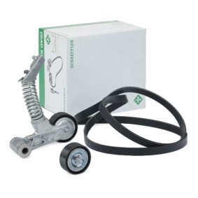 Acquista Kit Cinghie Poly-V da INA 529 0319 10 a buon mercato per soli 85,55 €