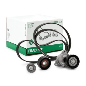Keilrippenriemensatz von INA für INSIGNIA Mk I (A) Country Tourer (G09) günstig online kaufen