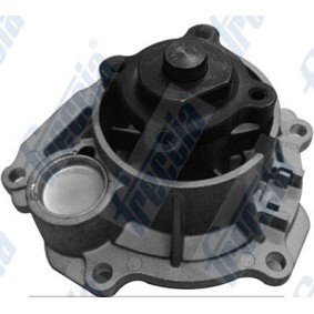 Achetez des Pompe à eau FRECCIA WP0559 à prix pour 98,00 €