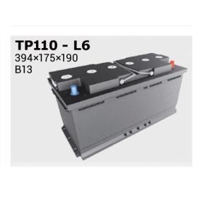 Batterie TP110 von IPSA günstig für 149,99 € online kaufen