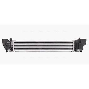 Køb Intercooler af AVA COOLING SYSTEMS BW4578 til den lave pris 2217,57 DKK