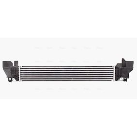 Køb Intercooler af AVA COOLING SYSTEMS BW4579 til den lave pris 2252,62 DKK