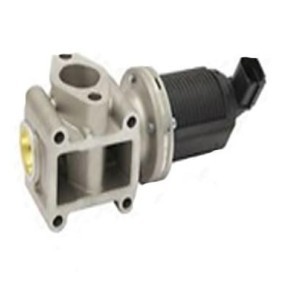 Acquista Valvola EGR da ASSO 70.0109 a buon mercato per soli 111,50 €