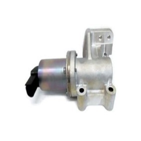 Acquista Valvola EGR da ASSO 70.0113 a buon mercato per soli 133,33 €