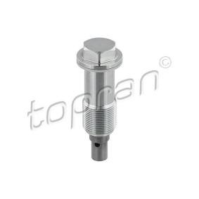Steuerkettenspanner 408 978