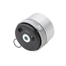 Achetez des Galet tendeur de courroie de distribution AUTOMEGA 210184410 à prix pour 28,74 €