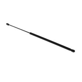Heckklappendämpfer 210190010