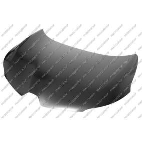 Motorhaube RN7503100