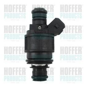 Acquista Iniettore da HOFFER H75117812 a buon mercato per soli 210,02 €