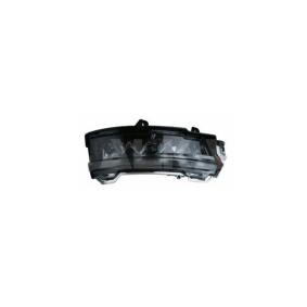 Blinker 6202054