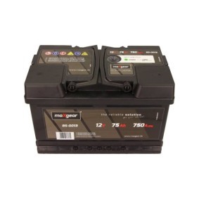 Batterie 85-0013