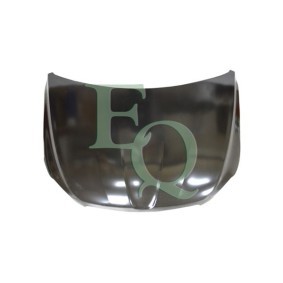 Motorhaube L02902