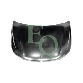 Motorhaube L03689