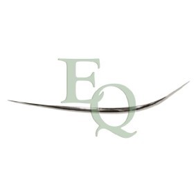Zierleiste, Stoßstange von EQUAL QUALITY