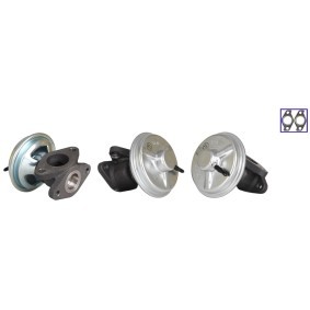 Comprar Válvula EGR de DRI 717710368 a bajo precio de 220,26 €