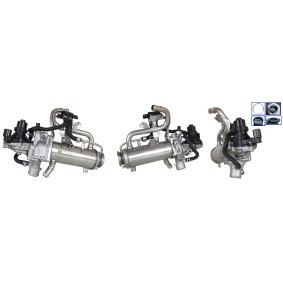 Acquista Valvola EGR da DRI 717730379 a buon mercato per soli 477,60 €